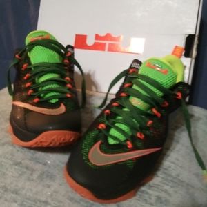 Lebron James Nike Cross trainers